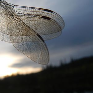 Meet your Posher, Takuya